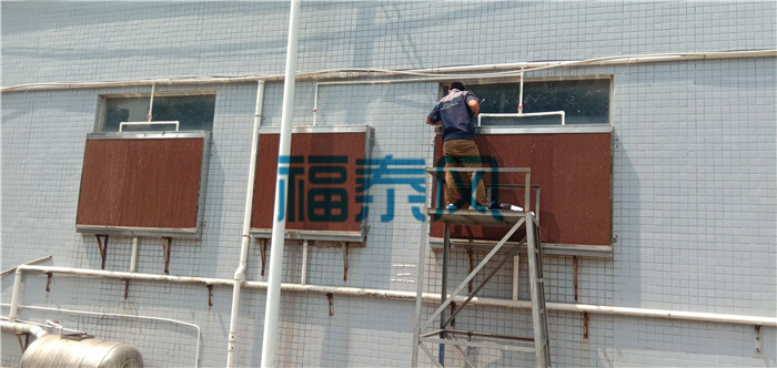 91免费视频免费看/水帘纸