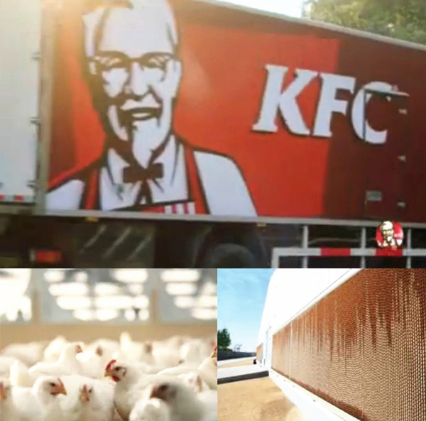 91免费下载成人