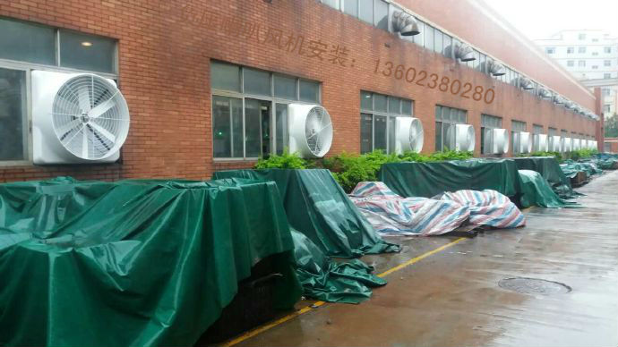 91免费下载成人的两大误区