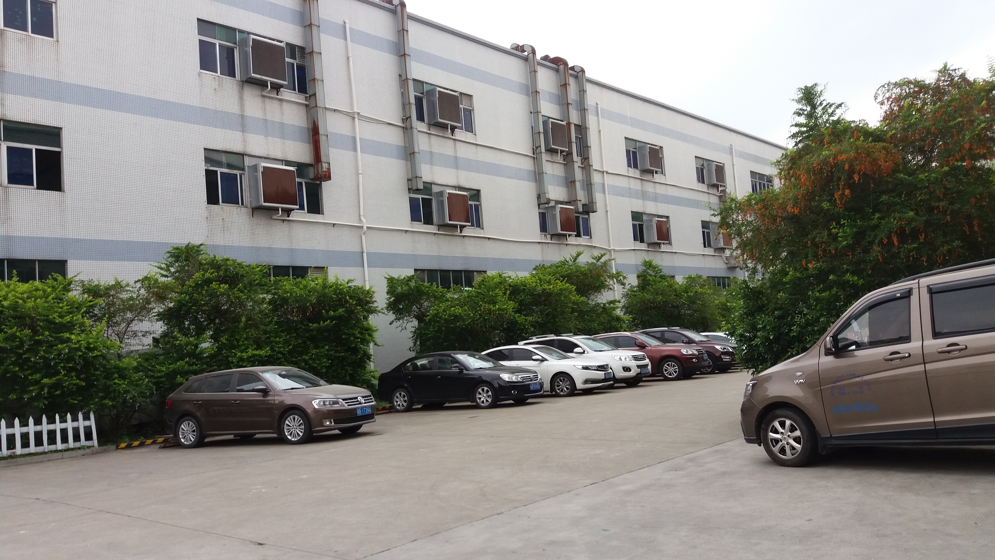 91免费下载成人