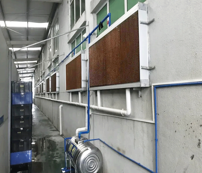 为什么水帘可以降温，到底有什么特点呢