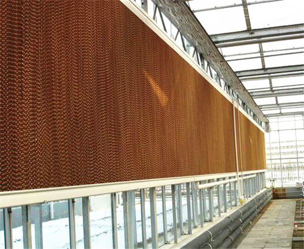 91免费下载成人的工作原理是什么？