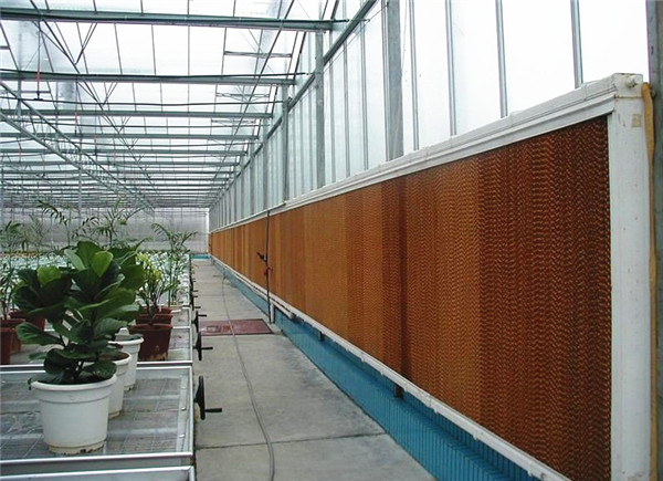 91免费下载成人安装容易吗？