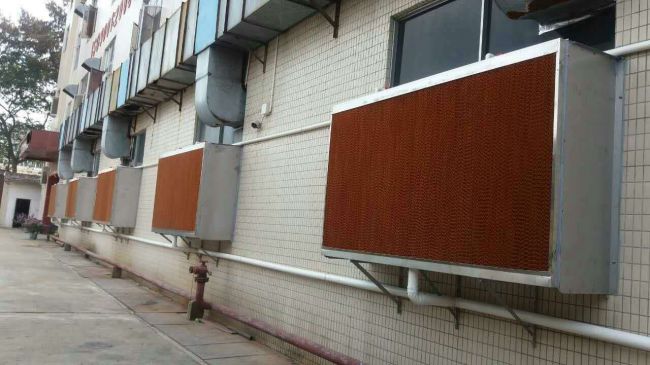 水帘降温：温室的清凉守护者