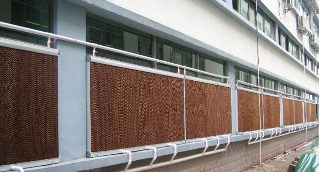 降温湿91免费下载成人维护要点